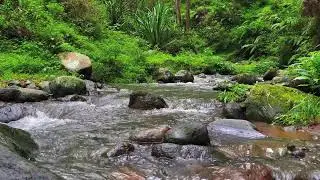 Deep Calm River &ndash; 10 Hours of ASMR for Focus, Anxiety & Stress Recovery