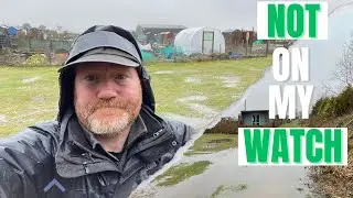 Preventing Another Flood | Not On My Watch | Mark's Allotment Plot