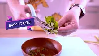 CaTalina Herb Scissor