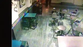 Bear_Visits_Bar2
