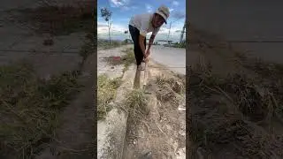 Very Satisfy To Remove Grass And Debris #remove #satisfying #asmr #shorts