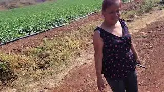 En el Municipio de Tuzantla Michoacán, Mexico