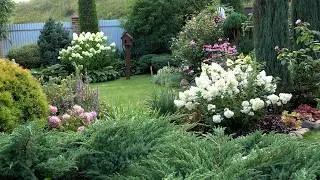Garden August 25, 2026. The sky was already breathing autumn... About the garden and a little abo...