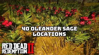 40 мест олеандрового шалфея в Red Dead Redemption 2
