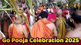 Udupi Krishna Temple || Go Pooja Celebration 2025