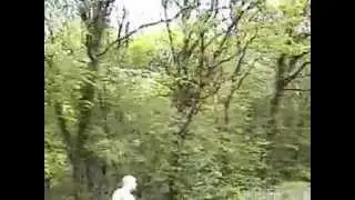 Dartmoor Railway