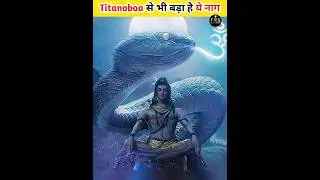 Titanoboa vs Vasuki INDICUS #shorts #youtubeshorts #factwithshaukeen