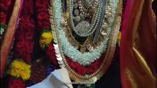 Swathi nakshatra sri narsimha swamy oreginppu mahotsav in pulivendula vasavi colony@kadapa ammai
