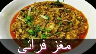 (مغز فرائی  )           Maghz Fry
