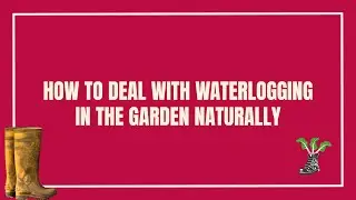 How To Deal With Excessive Rain And Waterlogging In Your Garden Naturally