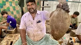 BABY SHARK FISH CUTTING | FISH CUTTING SKILLS | FISH CUTTING VIDEOS #KASIMEDU | UK SONS MARINE