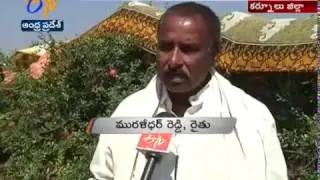 Horticulture Instead of Traditional Crops | Kurnool Farmers Yielding Good Results | A Story`