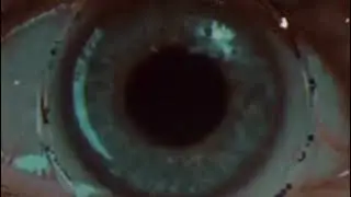 SPVRROW - Dead Gods (Official Visualizer)