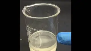 Nylon 6,6 Synthesis