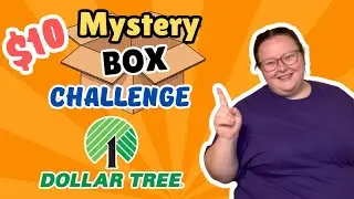 ✨NEW✨$10 Mystery Box Challenge || Dollar Tree Edition || Making a Meal with Mystery Ingredients 