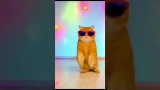 👉 Disco Cat Dance Fever 🕺🐱✨ #DiscoCat #DancingCat #CatShorts #shorts #viral #viralshorts #CatDance