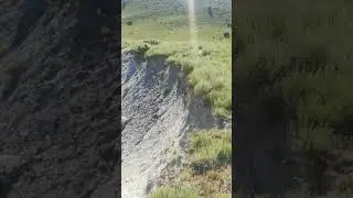 Zaraphane