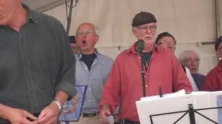 ZINGERIJ DWARSGETUIGD