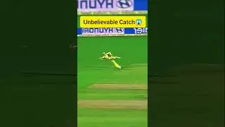 Unbelievable Catch😱 #kingkohli #cricket #cricketvideo #trending #catch #pintucric24