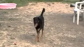 Timby