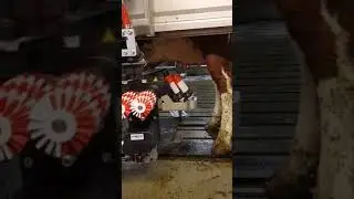 Lely A5 Astronaut melkerobot Tynset