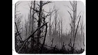 Les Joyaux de la Princesse  - Cimeti&egrave;re (chant&eacute; par Charles Panz&eacute;ra) /World War I (1914-18)