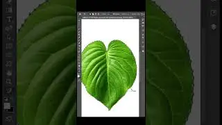 DOBE PHOTOSHOP TUTORIAL :  MAGNETIC LASSO TOOL #photoshop #tutorial