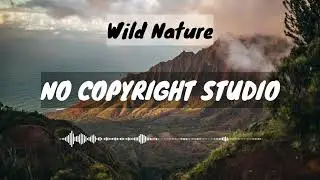 NCR Studio | Backsound Music No Copyright : Acoustic Cinematic - Wild Nature by Infraction