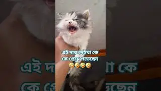 Micky Mouse 😜😜😜#foryou #cat #shorts #teeth
