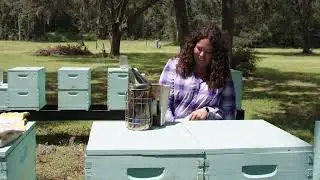 Florida Farm Bureau 2022 Achievement in Agriculture Award Finalist, Amanda Borek