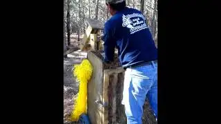 The making of a pinestraw bale