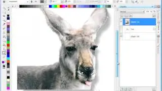 Corel PHOTO-PAINT Tutorial: Schatten und Transparenzen nutzen