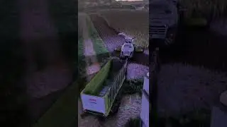 LAST SILAGE on FARMING SIMULATOR 22 #fs22 #farming #farmingsimulator #ls22 #farmingsimulator22