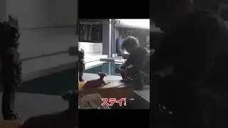 GACKT with his dogs part 2