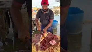 Yellowfin Trevally fish cutting on Beach | Fastest Trevally Fish Cutting Videos