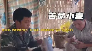 第42集，阿剛把房子賣了，買了牀墊，搬過來和小麥一起住《苦命小麥》