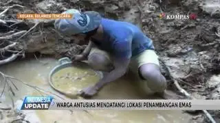 Residents Flock to Gold Mining Site in Kolaka