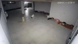 It Makes Me So Happy To See Grandpa Bubi Like This!- Takis Shelter