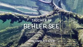 Tauchen im Behler See,  in Schleswig Holstein 7.