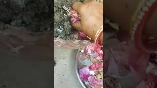 किचन कम्पोस्ट #kitchen #compost #organic #homemade #garden #hindi #vlog #shorts #nature