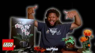 Best Lego Sets for Beginners: Lego themes anybody can do/get into to