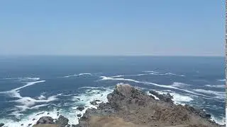 chili coast 2018