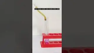 Качественная реакция на алкены  #еленабаранова #егэхимия #chemistry #химия #experiment