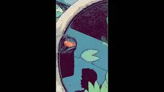 Home Gardening for Beginners | Cumin Seeds, Water Lily Pond & Fruit Plants