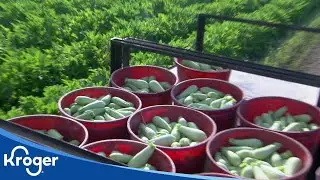 Ruhlig Farms | Kroger Partners | Kroger