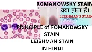 Romanowsky stain in hindi । #Leishman stain । #haematology  । #dmlt । principleof romanowsky stain