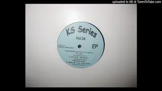 N TYCE whatever ( unreleased mix ) ks series vol 16 for dj use only dj djaocks .