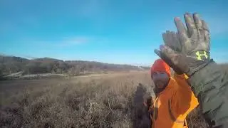 Iowa Bird Chaser - A journey thus far