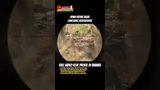 Ayam Hutan Jalan Langsung Bleksekkk || Alexa Baratha #shorts