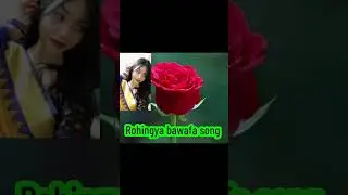 Rohingya bawafa song 